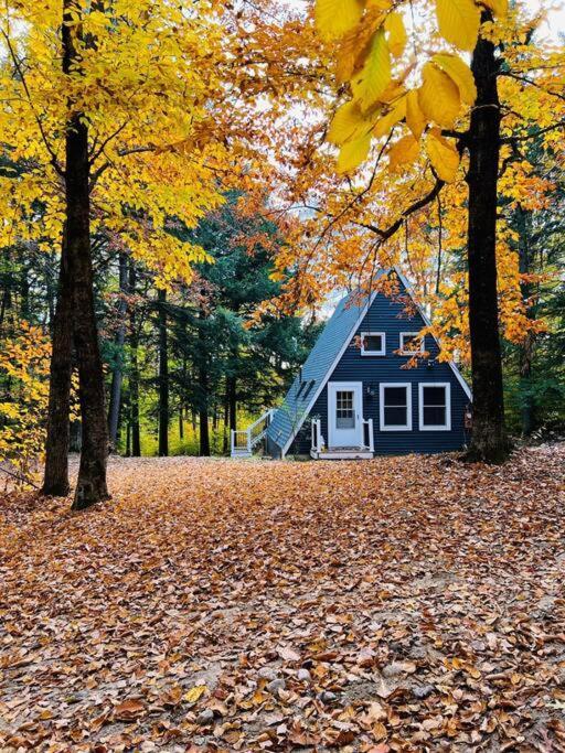 Villa New! Cozy & Modern A-Frame In The Woods W/Hot Tub Tamworth Esterno foto